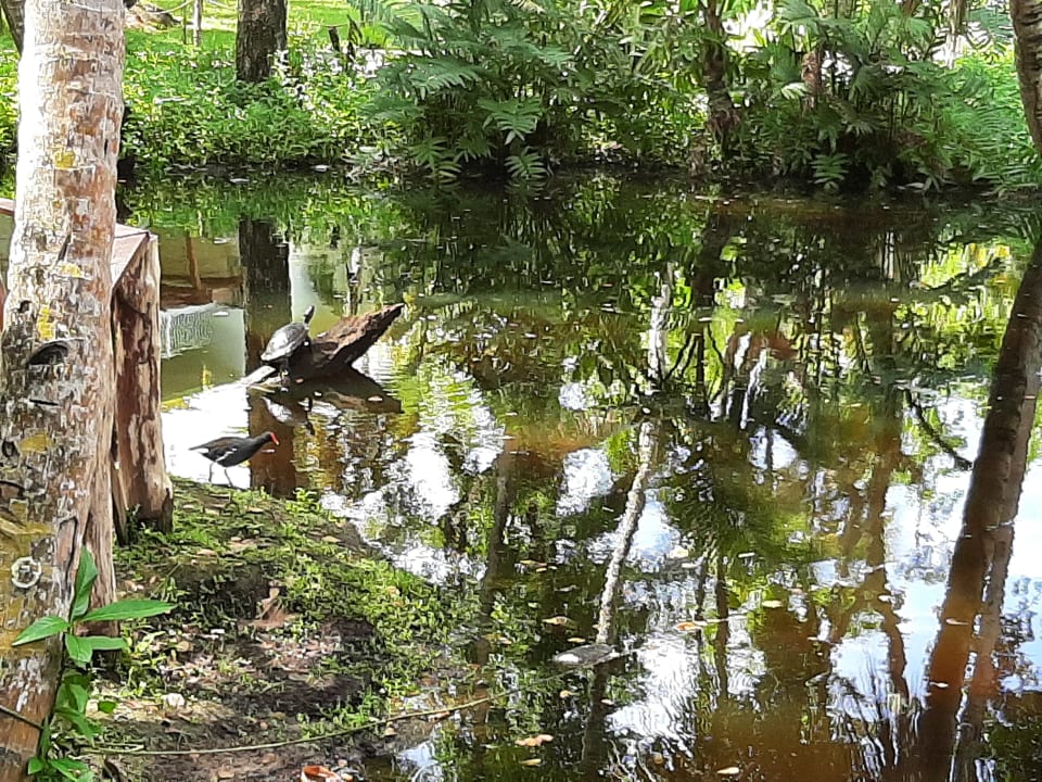 Gartenanlage Wyndham Alltra Samana
