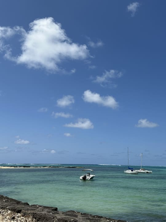 Ausblick Tropical Attitude - Adults only