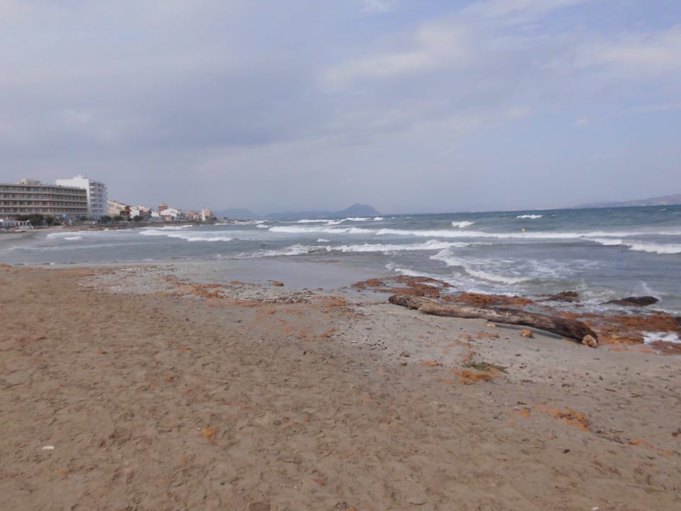 Wunderbares Mittelmeer Hotel Exagon Park