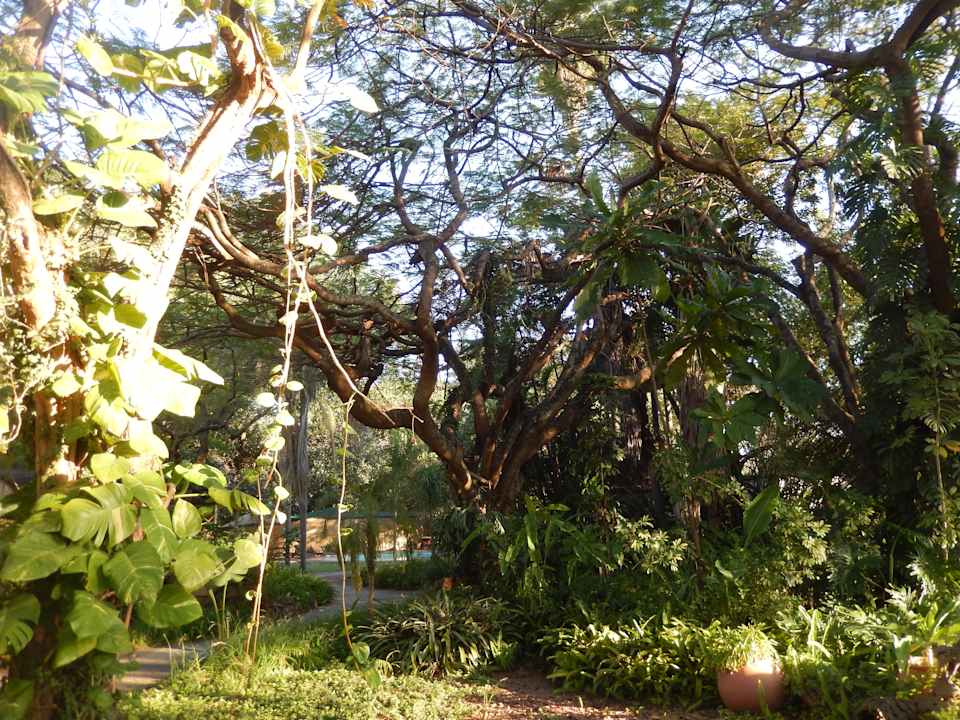 Gartenanlage Hotel Numbi The Main House