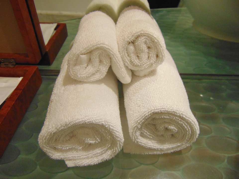 Zimmer Hotel Hyatt Regency Delhi