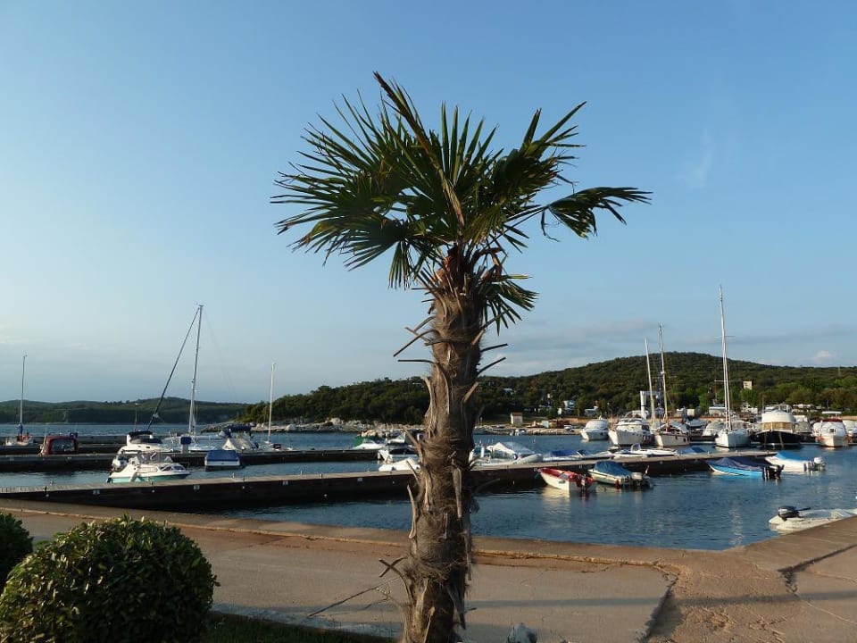Eigener Hafen in Valalta FKK Valalta