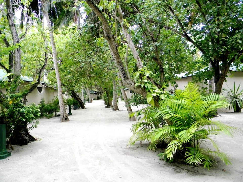 Inmitten der Insel Summer Island Maldives