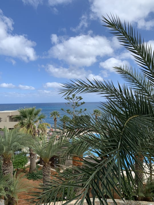 Gastro Nana Golden Beach