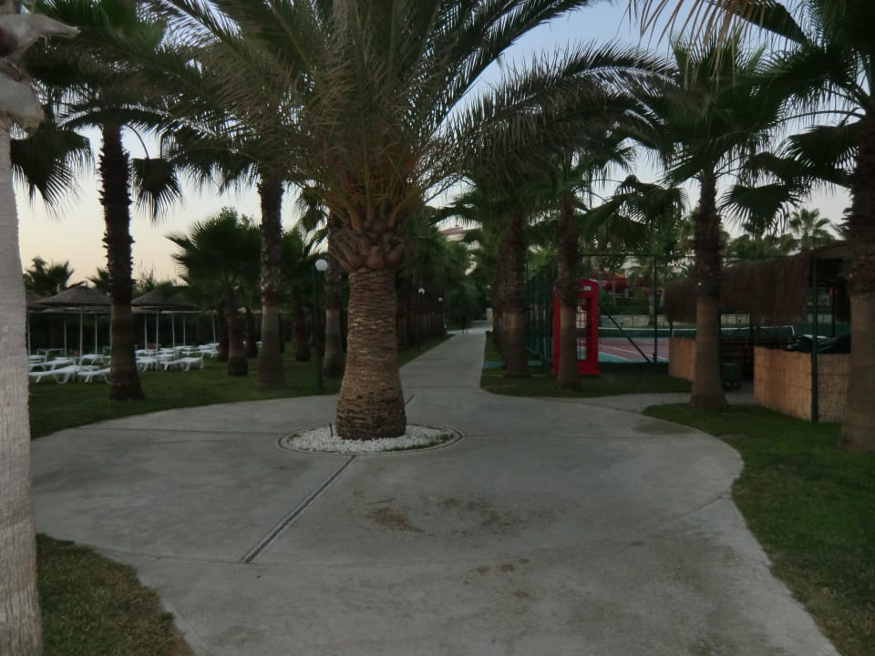 Weg vom Strand zum Hotel Miramare Queen Hotel