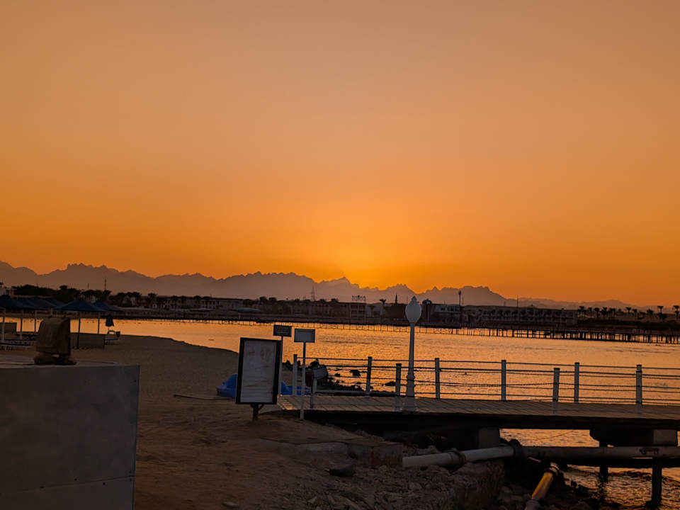 Ausblick Desert Rose