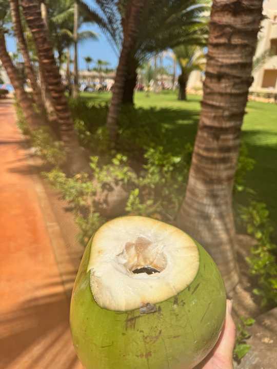 Gartenanlage Hotel Riu Touareg