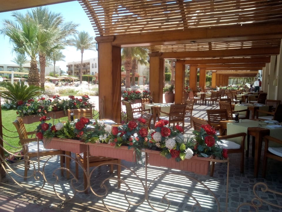 Restaurant Desert Rose