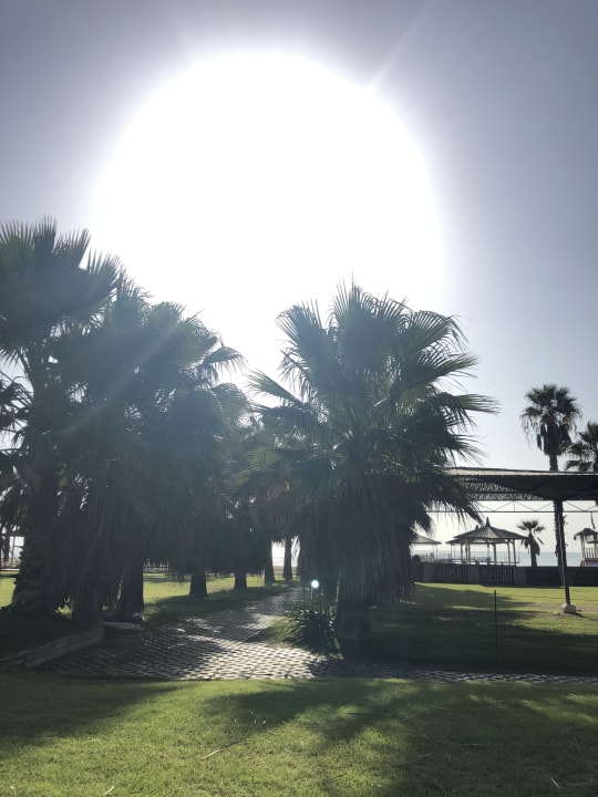 Ausblick ROBINSON NOBILIS