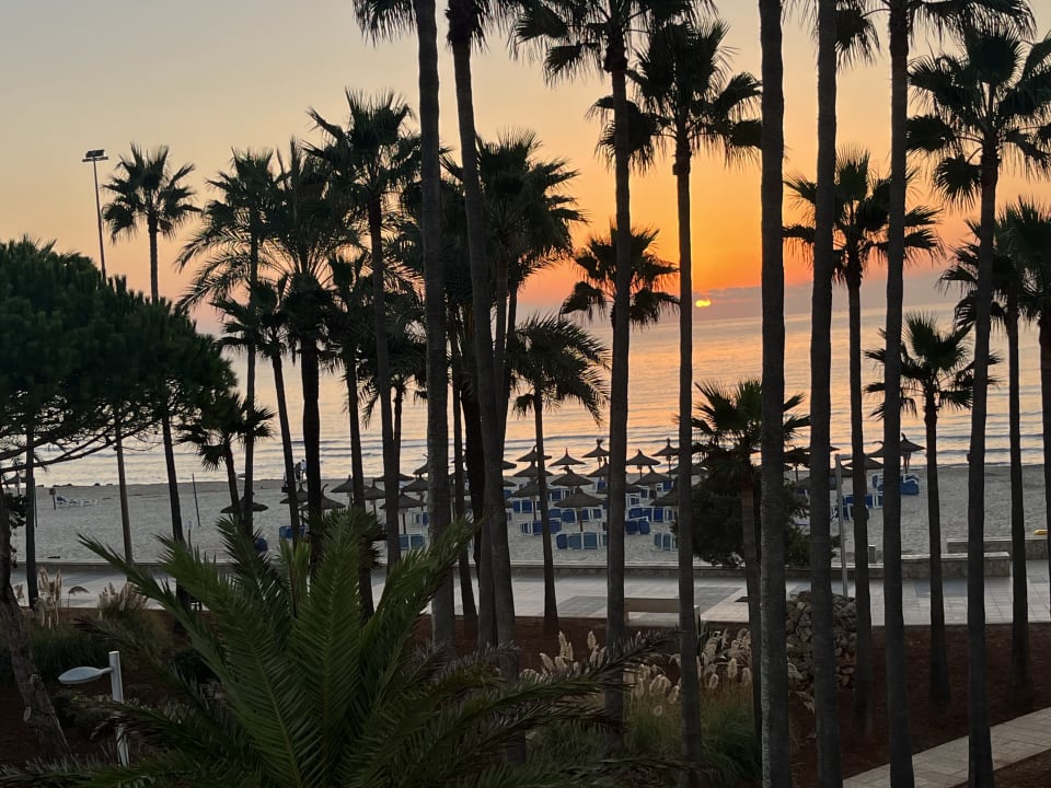 Gartenanlage Hipotels Mediterraneo Club