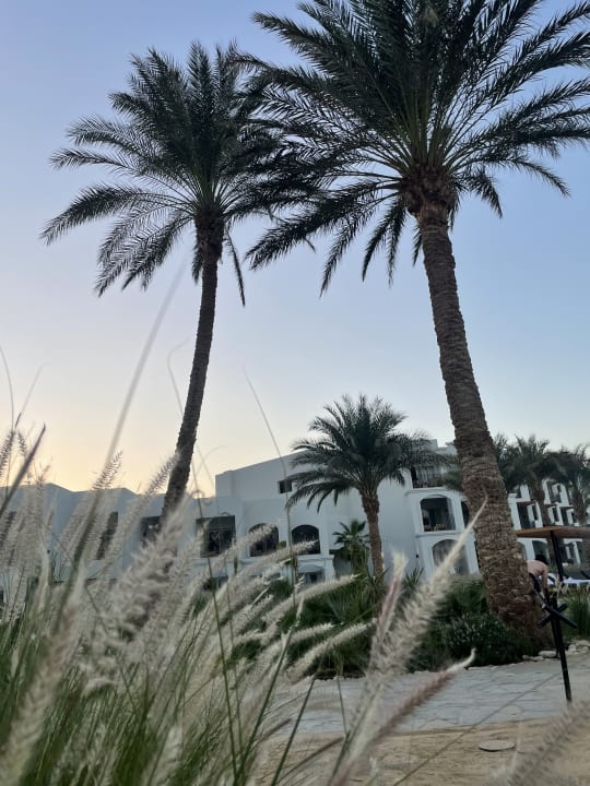 Gartenanlage Serry Beach Resort