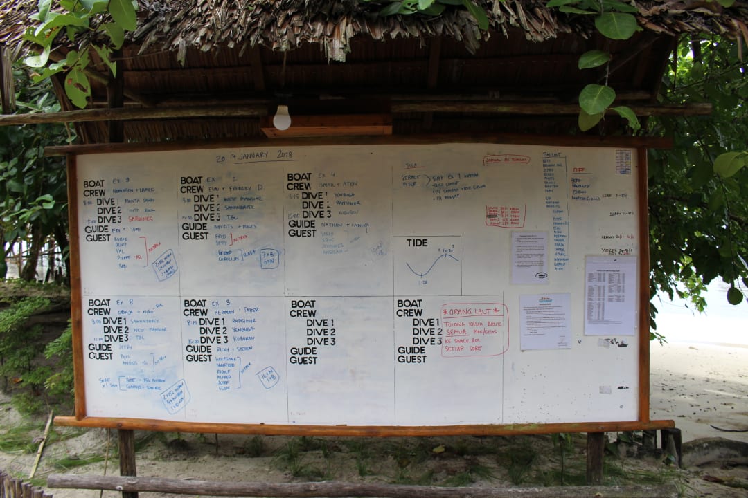 Tauchgangs/Gruppeneinteilungsplan Papua Explorers Resort
