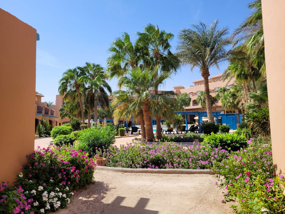 Gartenanlage Club Paradisio El Gouna, Red Sea