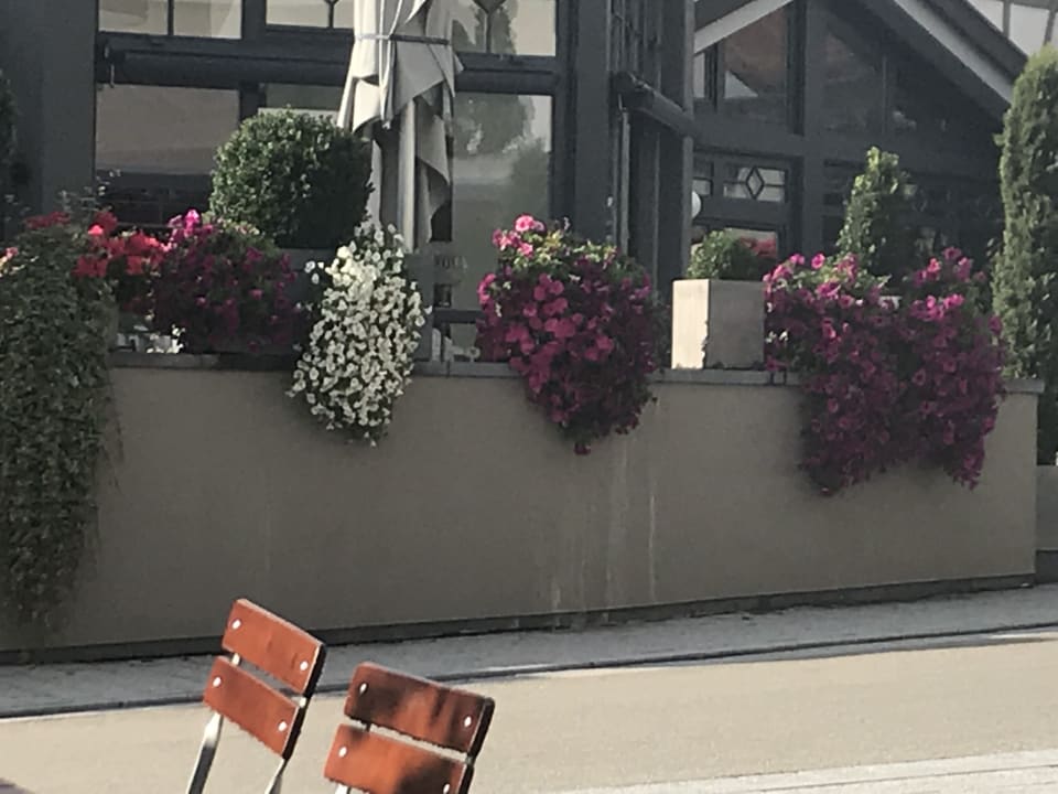 Sonstiges Hotel Traube am See