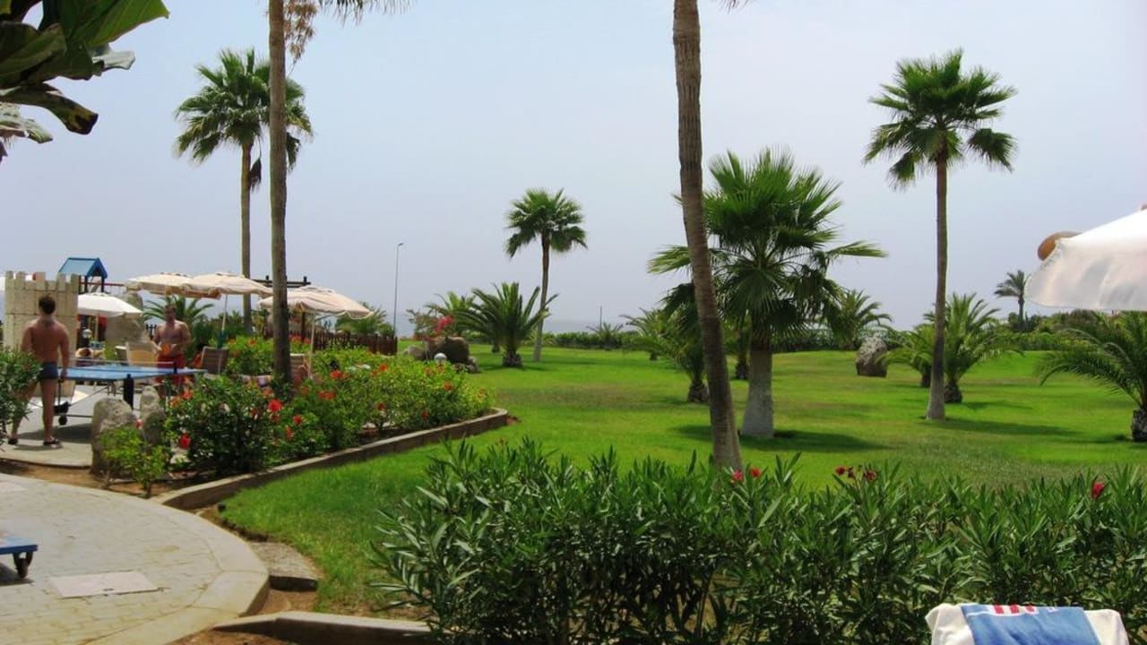 Gartenanlage Hotel Riu Palace Tenerife