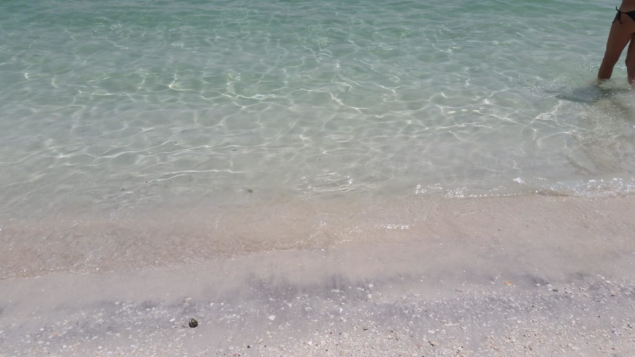 Wasserqualität DoubleTree by Hilton Resort & Spa Marjan Island