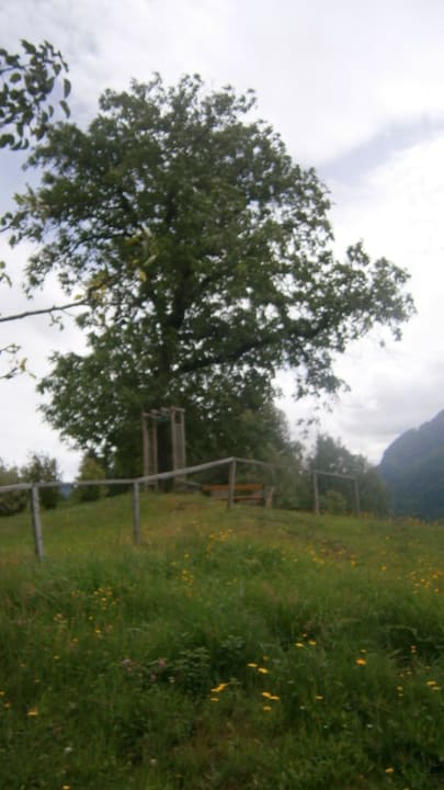 Oase der Ruhe Hotel Lärchenhof