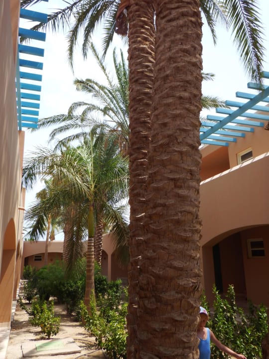 Garten Club Paradisio El Gouna, Red Sea