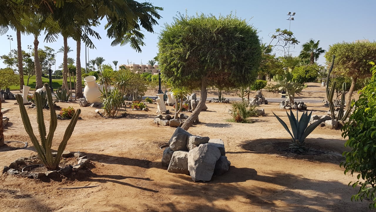 Gartenanlage Steigenberger ALDAU Beach Hotel