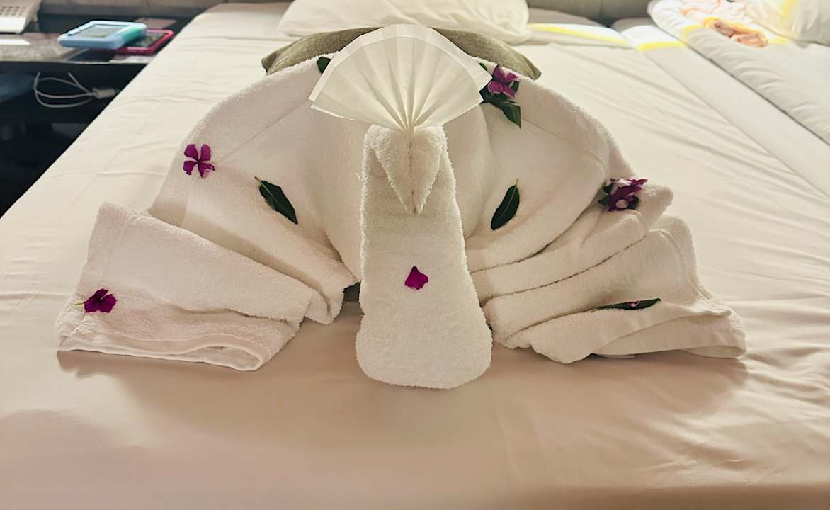 Zimmer Akassia Swiss Resort