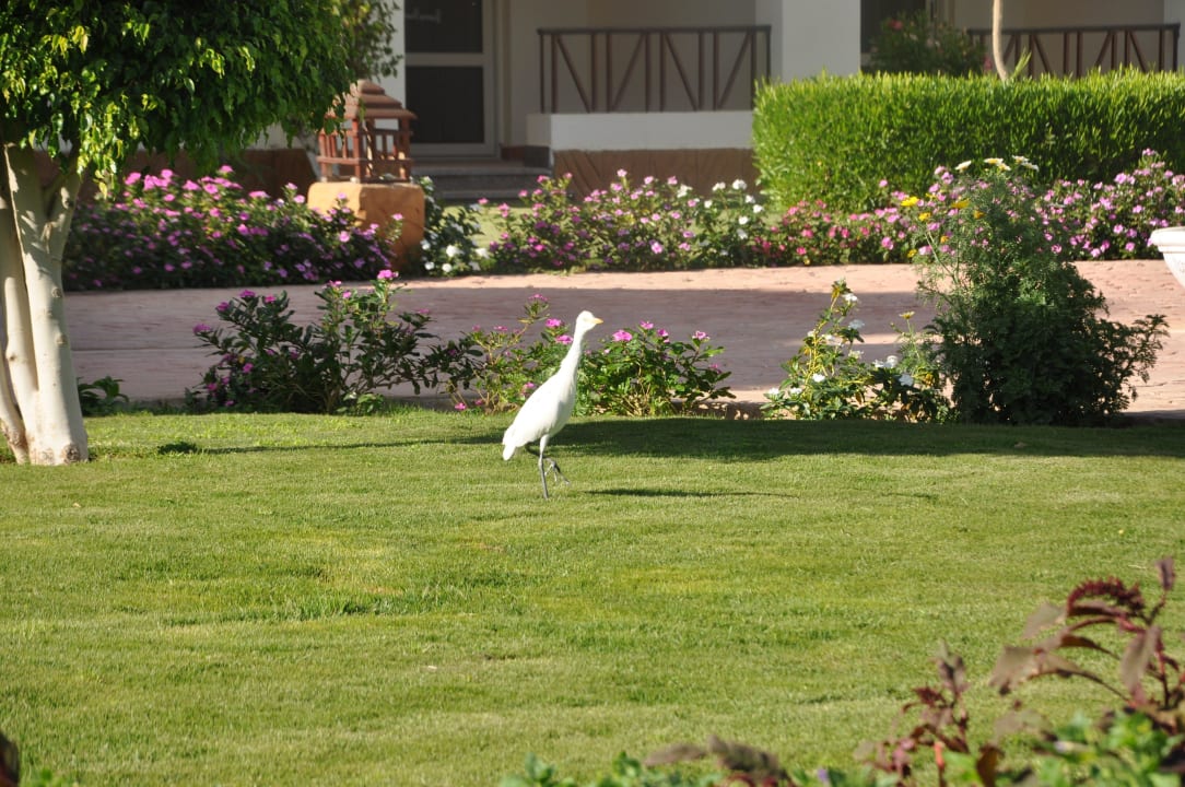 Ptak Regency Plaza Aqua Park & Spa