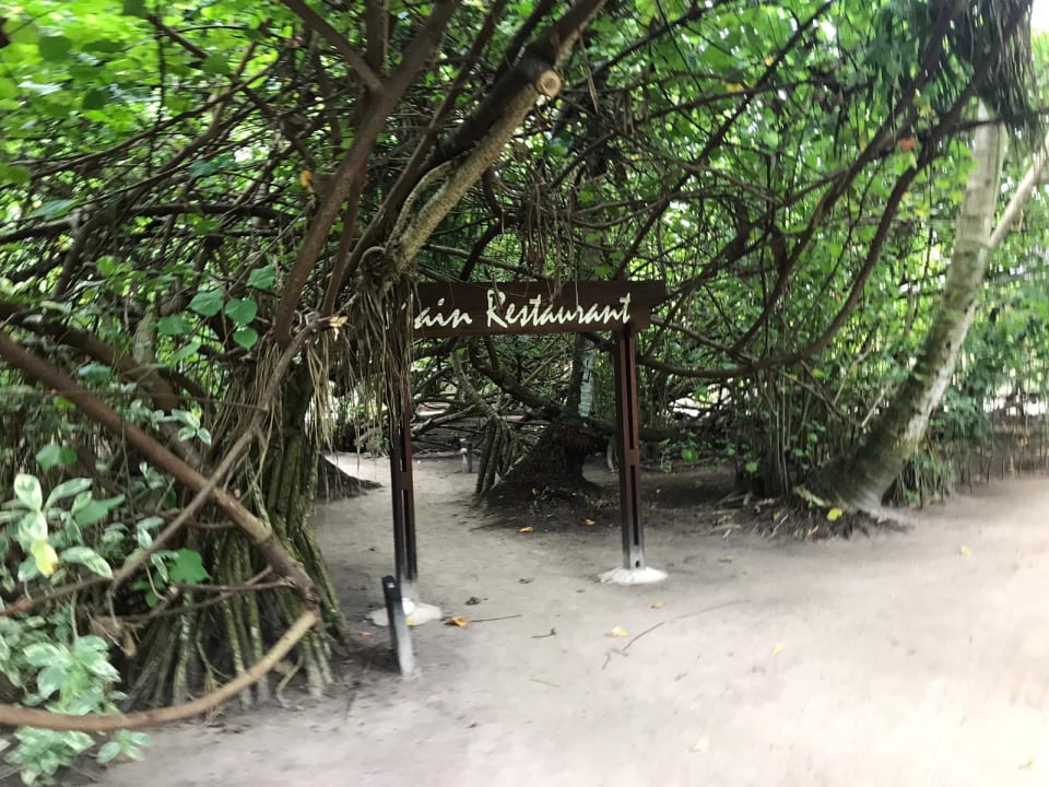 Gartenanlage Adaaran Select Meedhupparu Island Resort - Premium All Inclusive