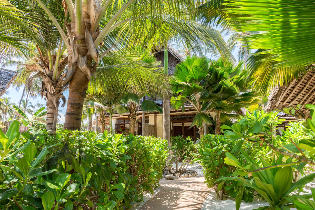 Gartenanlage Zoi Boutique Hotel Zanzibar