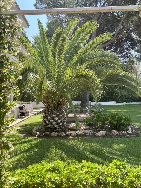 Ausblick Hotel Exagon Park