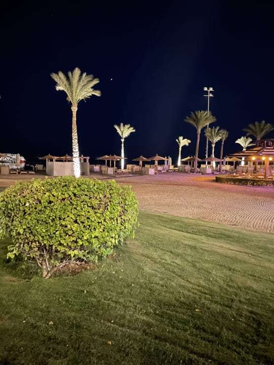 Gartenanlage Steigenberger ALDAU Beach Hotel