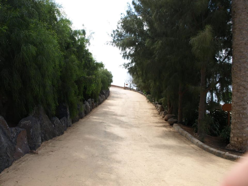 Auf dem Weg zum Strand R2 Rio Calma Hotel & Spa & Conference