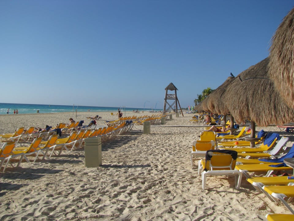 Strandbereich mit Liegen Iberostar Waves Quetzal