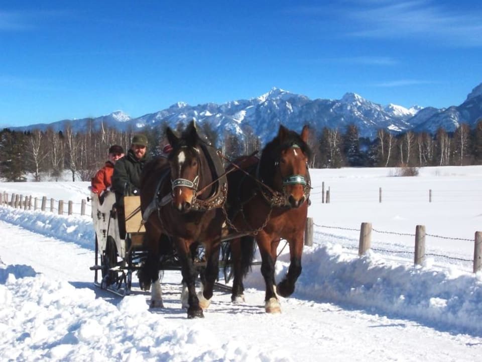 Sport-/Freizeitangebot Seehotel Hartung & Ferienappartements