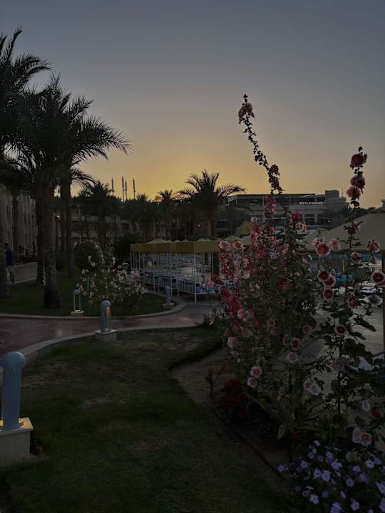 Außenansicht Pickalbatros Palace Resort