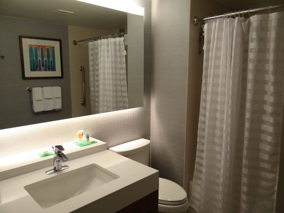 Bad Hotel Hyatt Place Austin Downtown