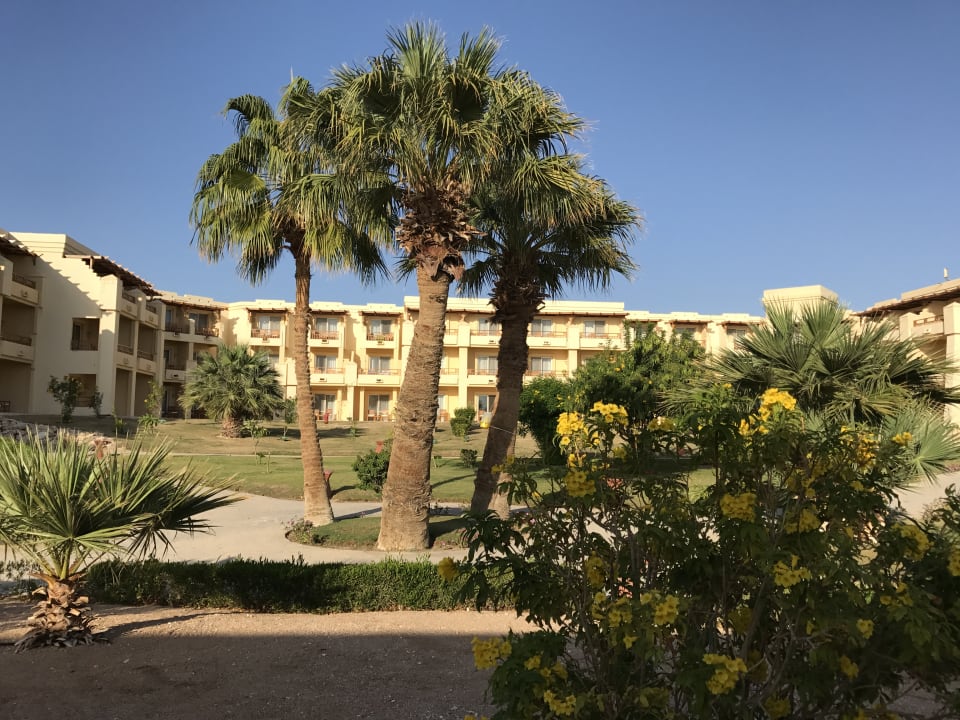 Gartenanlage Hotel Sheraton Soma Bay Resort