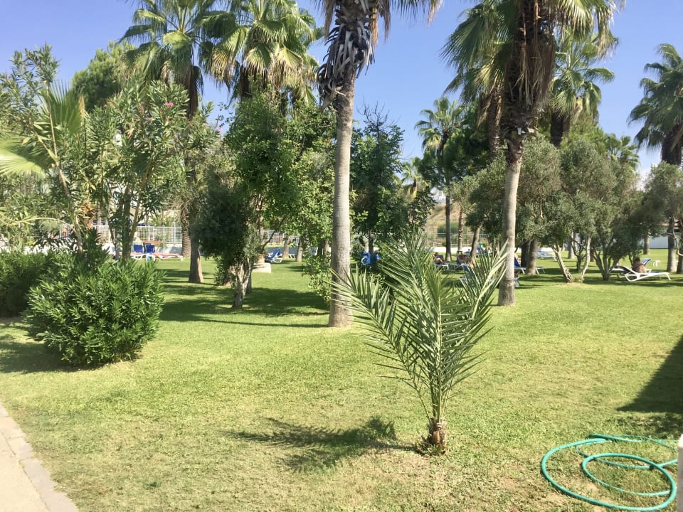 Gartenanlage Süral Saray Hotel