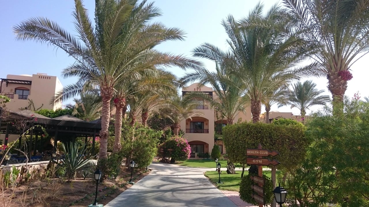 Zwischen den Pools Steigenberger Coraya Beach - Adults only