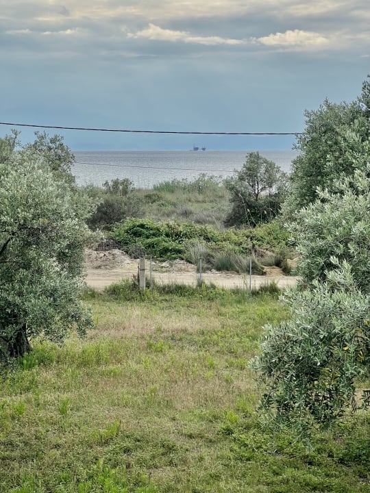 Ausblick Alea Hotel & Suites