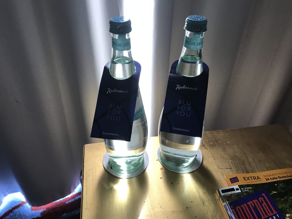 Zimmer Radisson Blu Hotel Frankfurt