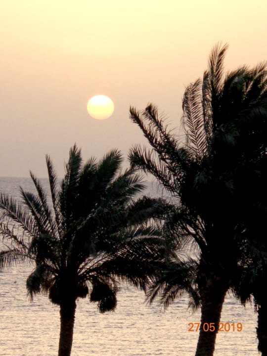 Sonstiges Makadi Spa - Adults only