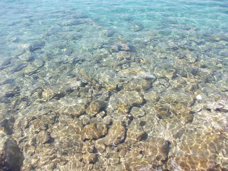 Morze Bodrum Holiday Resort & Spa