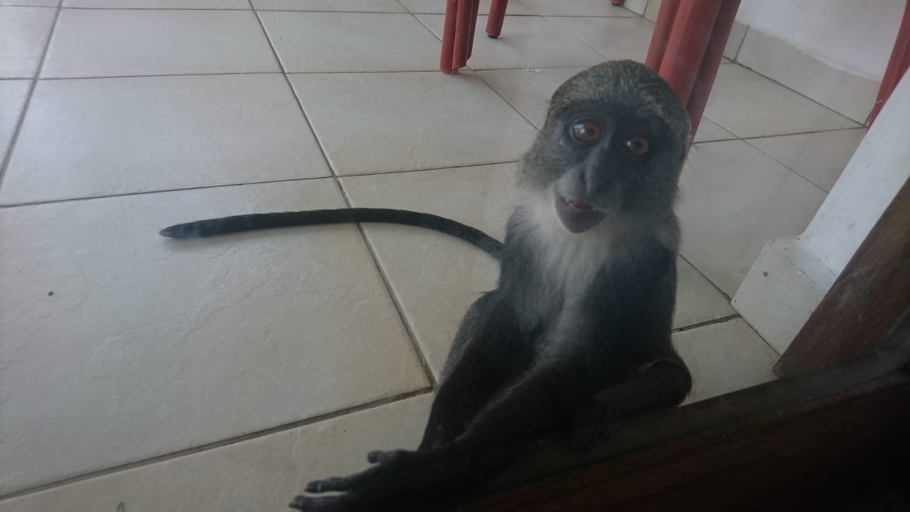 Zimmer Neptune Village Beach Resort & Spa