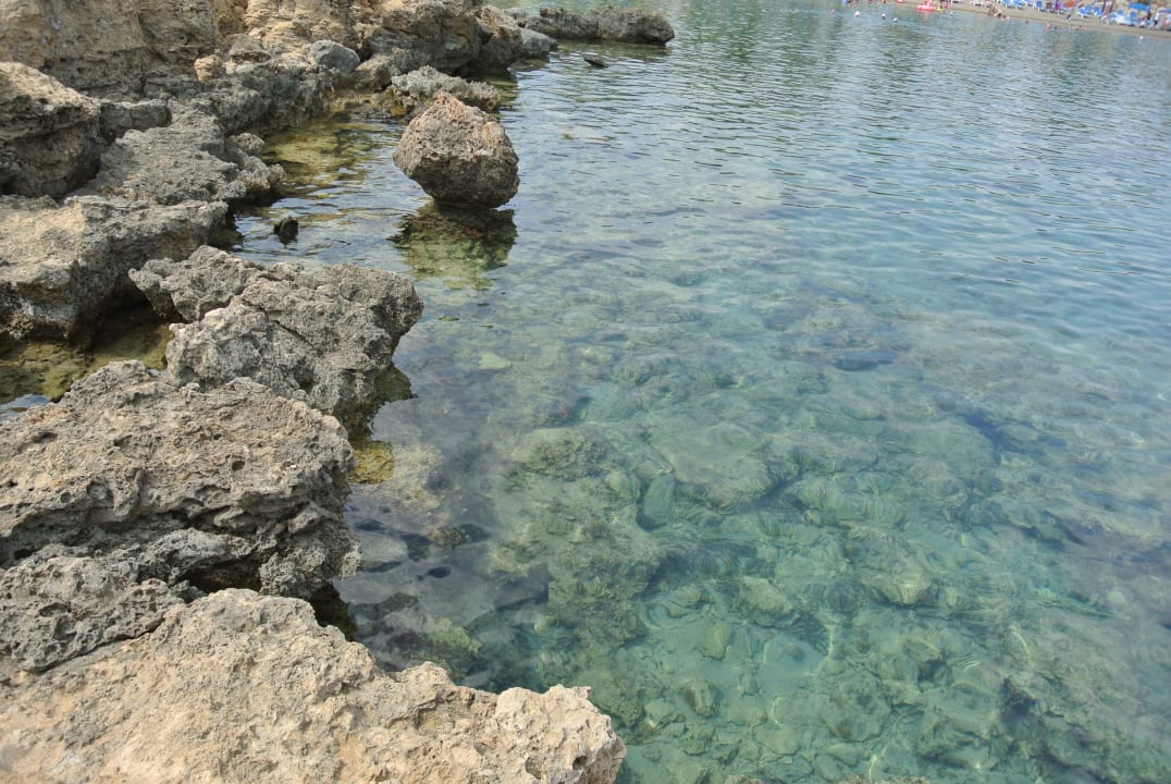 Sonstiges Crystal Springs Beach Hotel