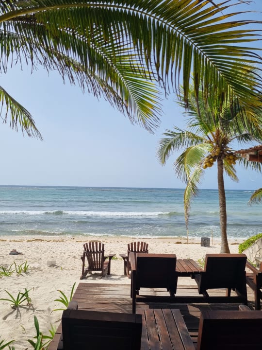 Ausblick Akumal Bay Beach & Wellness Resort