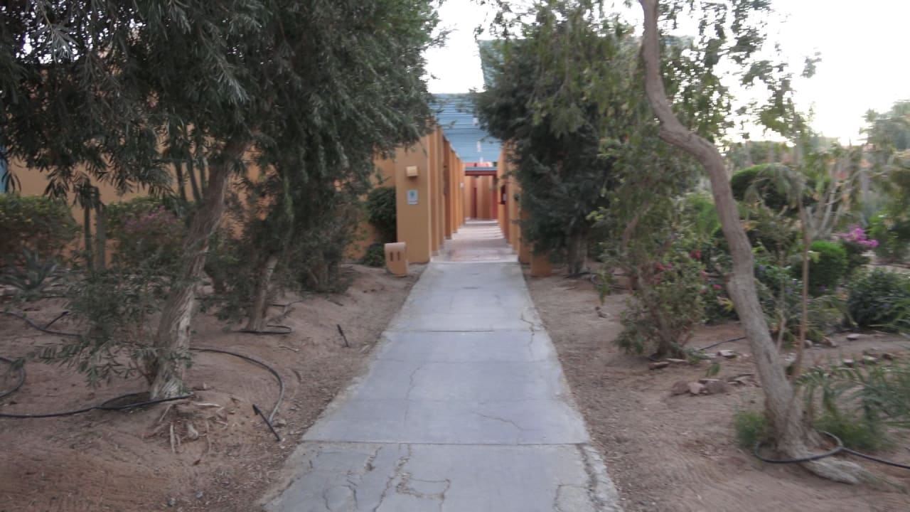 Gartenanlage Sheraton Miramar Resort El Gouna