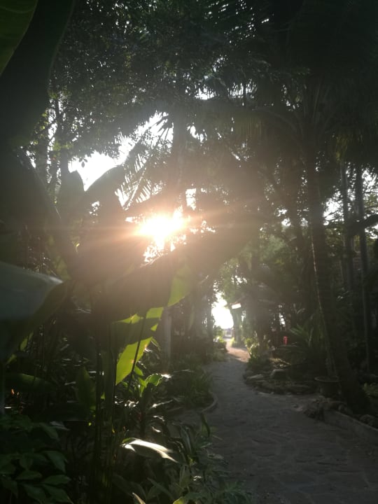 Gartenanlage Samui Natien Resort