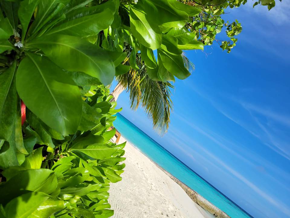 Strand Drift Thelu Veliga Retreat