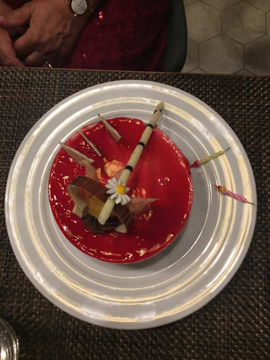 Gastro Acanthus Cennet Barut Collection