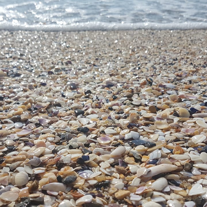 Strand Sentido Marea