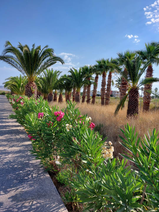 Außenansicht Caravia Beach Hotel